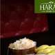 Irish Harats pub