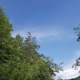 20200603_151810.jpg