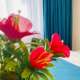 Shymbulak Guest House