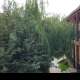 Arasan Алаколь Resort Hotel